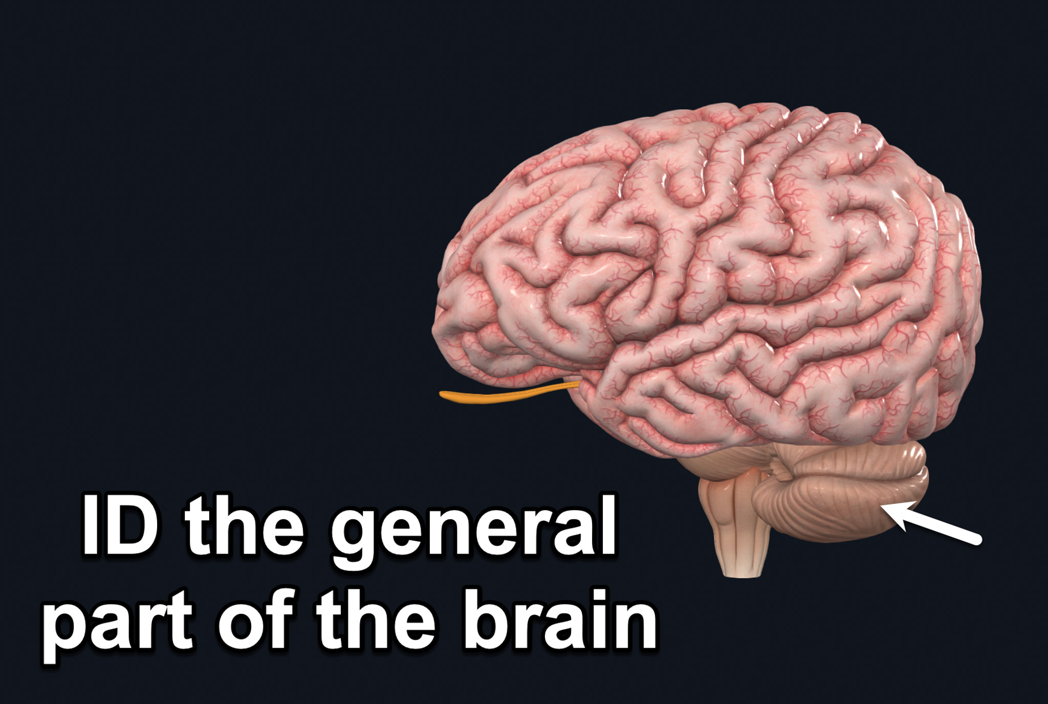 <p></p>