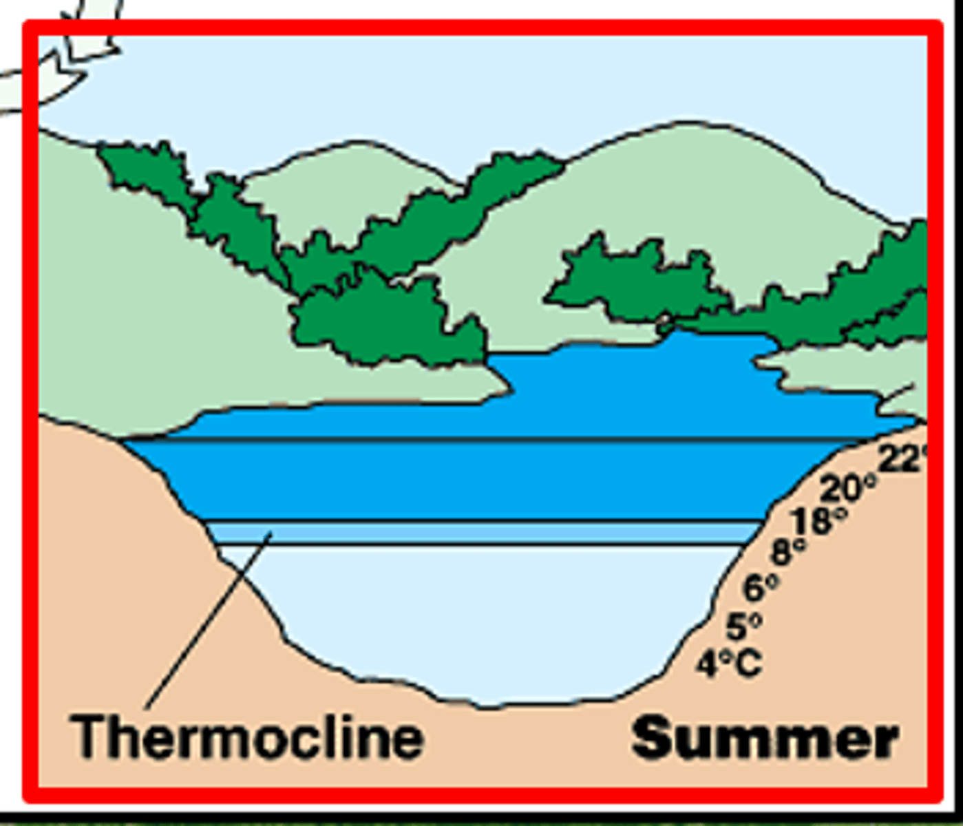 <p>warm temps in spring and summer create stratification because warmer lighter water stays on top</p><p>high P loading → algal blooms → decomposition → hypoxia</p>