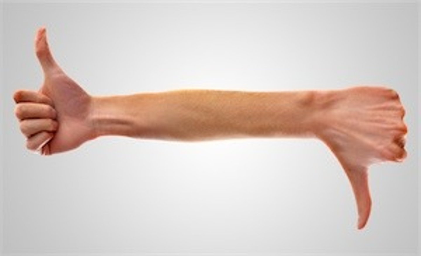 <p>to express the opposite</p>