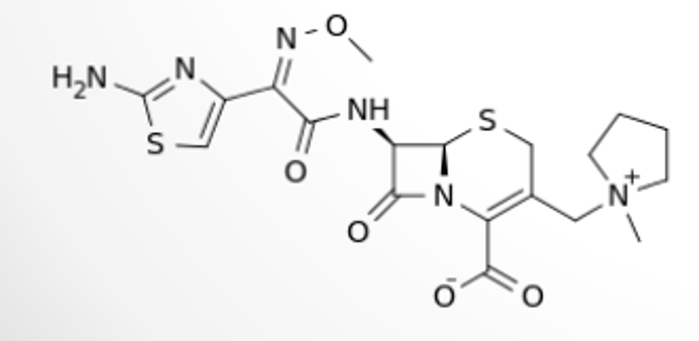 <p>Protonated pyrrolidine ring</p>