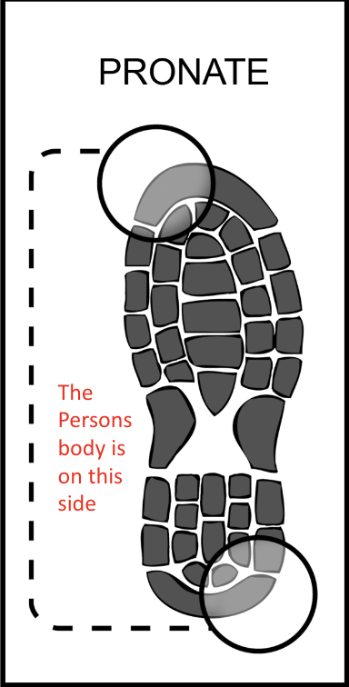 <p>Wear patterns on the inside of the body (top left + bottom right)</p>