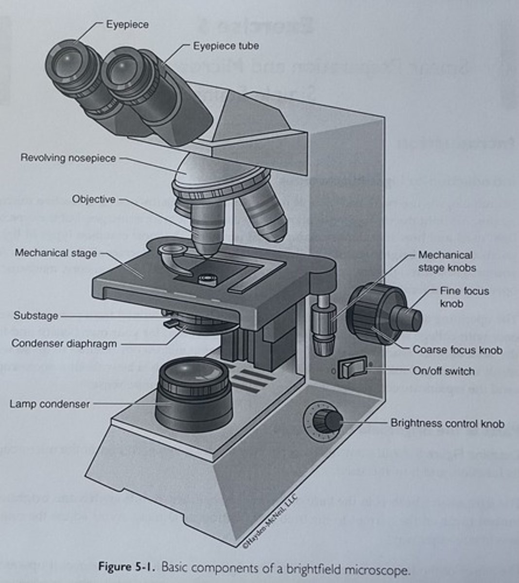 <p>know the parts of the microscope</p>