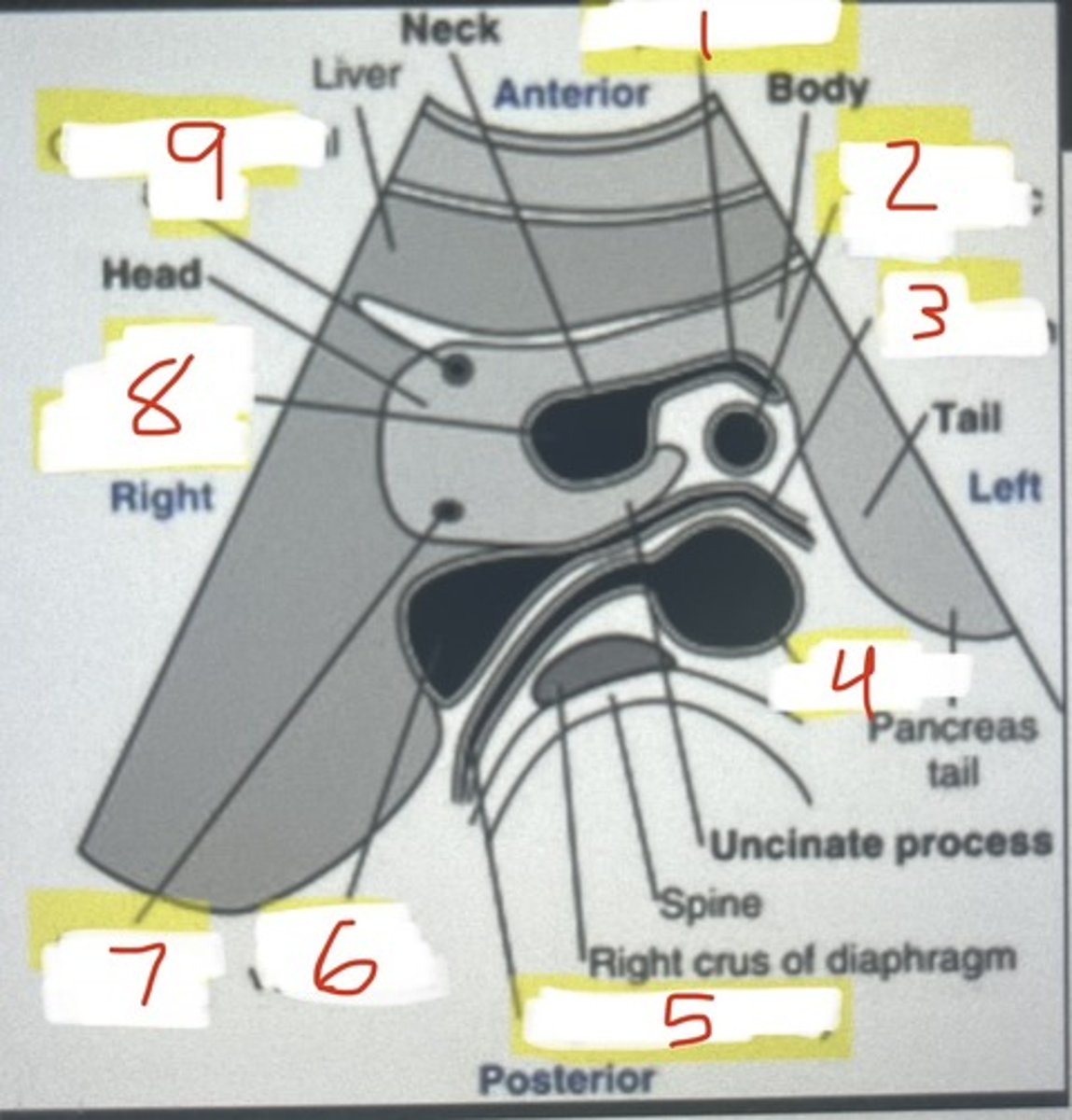 <p>9</p>