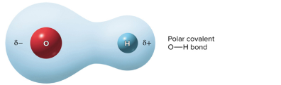 <p>Electrons are shared unequally, nonsymmetrical</p>