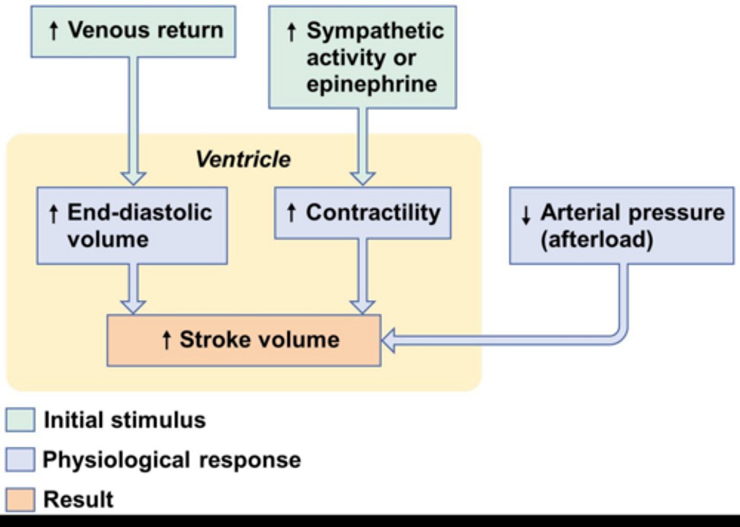 <p>The pressure the heart must work against to eject blood.</p>