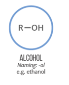 <p>Organic compounds with a hydroxyl -OH group</p>