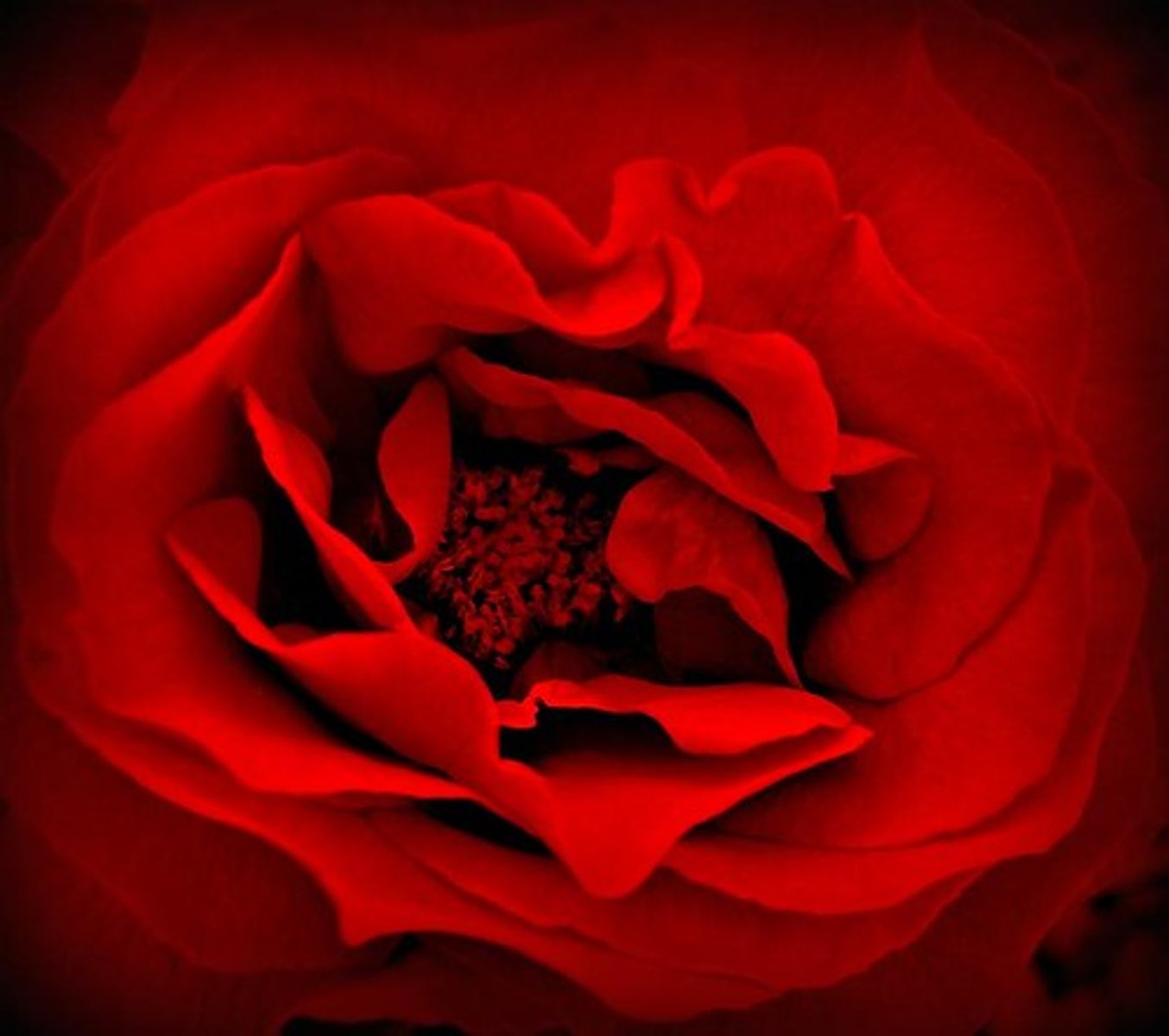 <p>in perception, the ability to adjust to an idea or mind set</p>