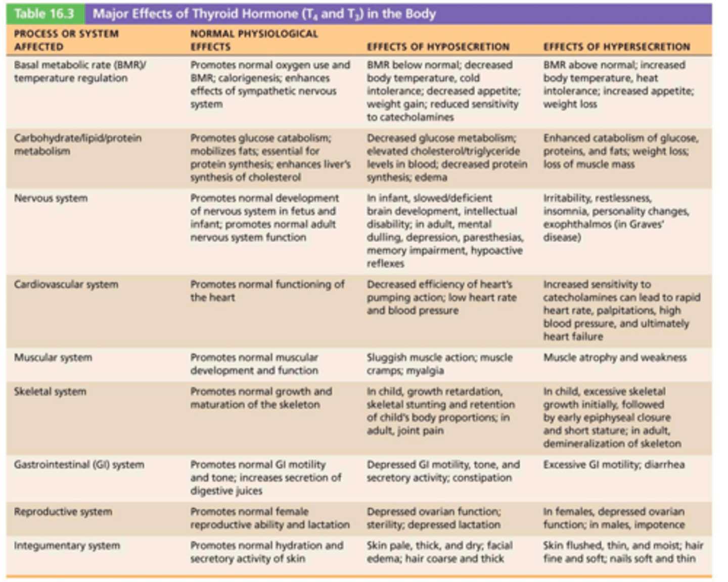 <p>1. Increases basal metabolic rate (BMR) and heat production</p><p>2. Regulates tissue growth and development</p><p>Critical for normal skeletal and nervous system development and reproductive capabilities</p><p>3. Maintains blood pressure</p><p>Increases adrenergic receptors in blood vessels</p>