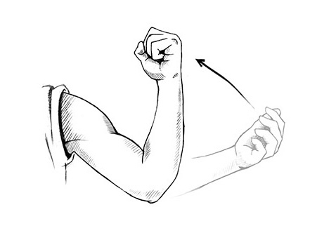 <p>bending elbow</p>