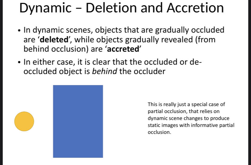 <p>Objects are occluded (deleted) or revealed from behind occlusion (accreted). Specific distance where eyes do not cross.</p>