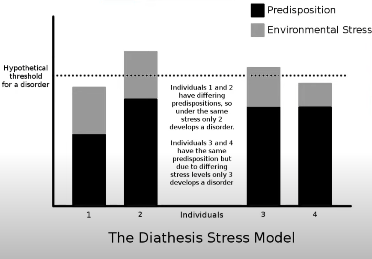 <p>= model to explain why some people might develop an illness while some people don’t</p><p>2 factors:</p><ul><li><p>differences in genetic predisposition</p></li><li><p>differences in environmental stress</p></li></ul>