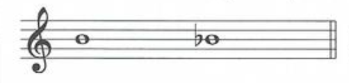 <p>Identify the accidentals</p>