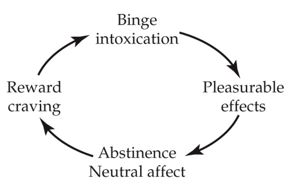 <p>What stage is this?</p>