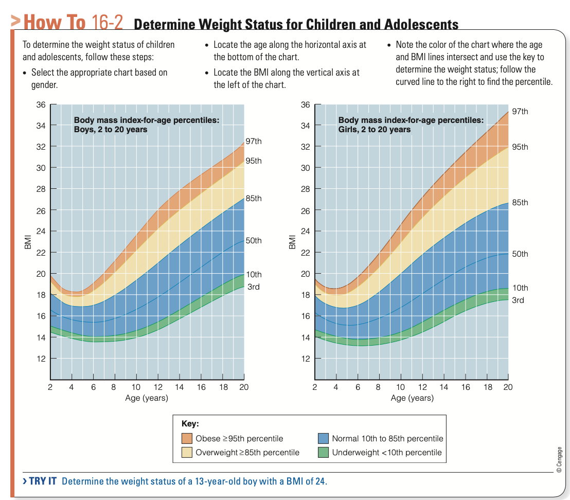 <p>BMI for Age (What are the percentiles)</p><ul><li><p>Overweight</p></li><li><p>Obese</p></li><li><p>Underweight</p></li></ul><p></p>