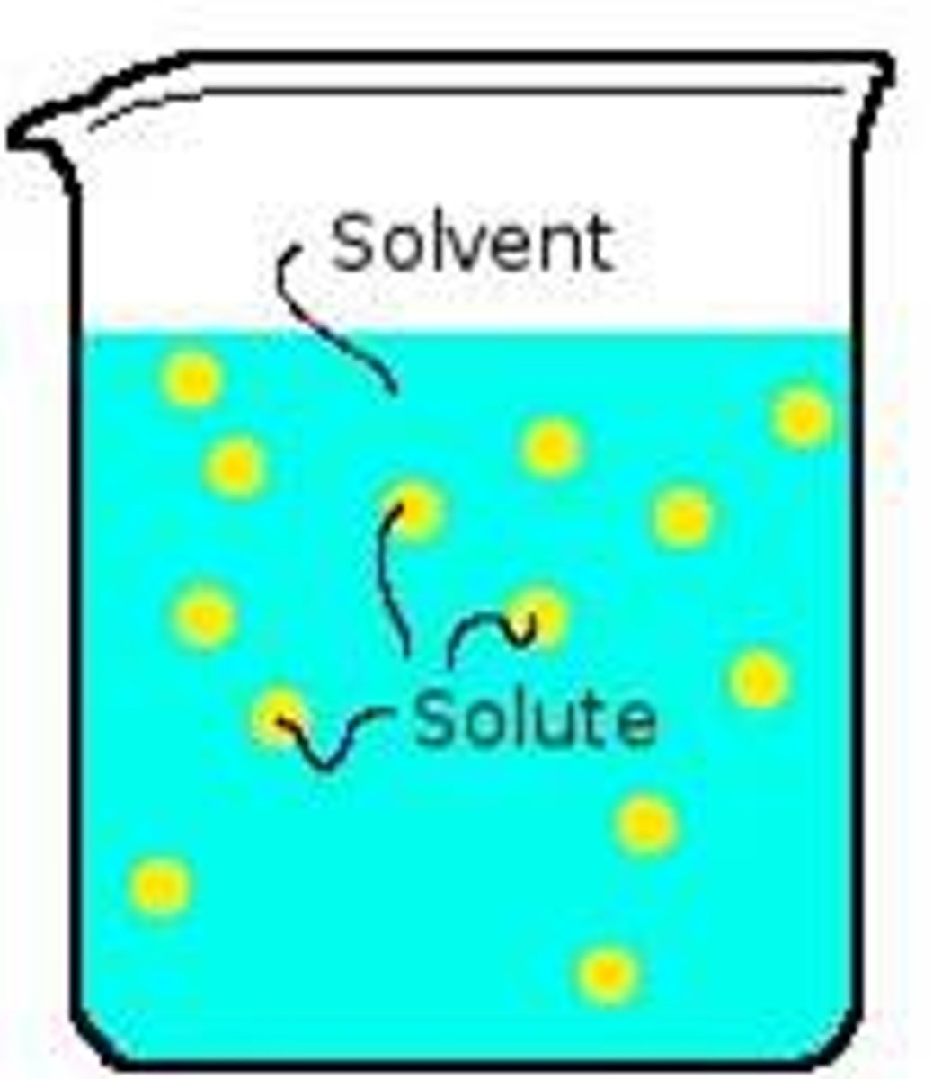 <p>In a solution, this is the substance being dissolved, the less abundant substance(s) in the solution</p>