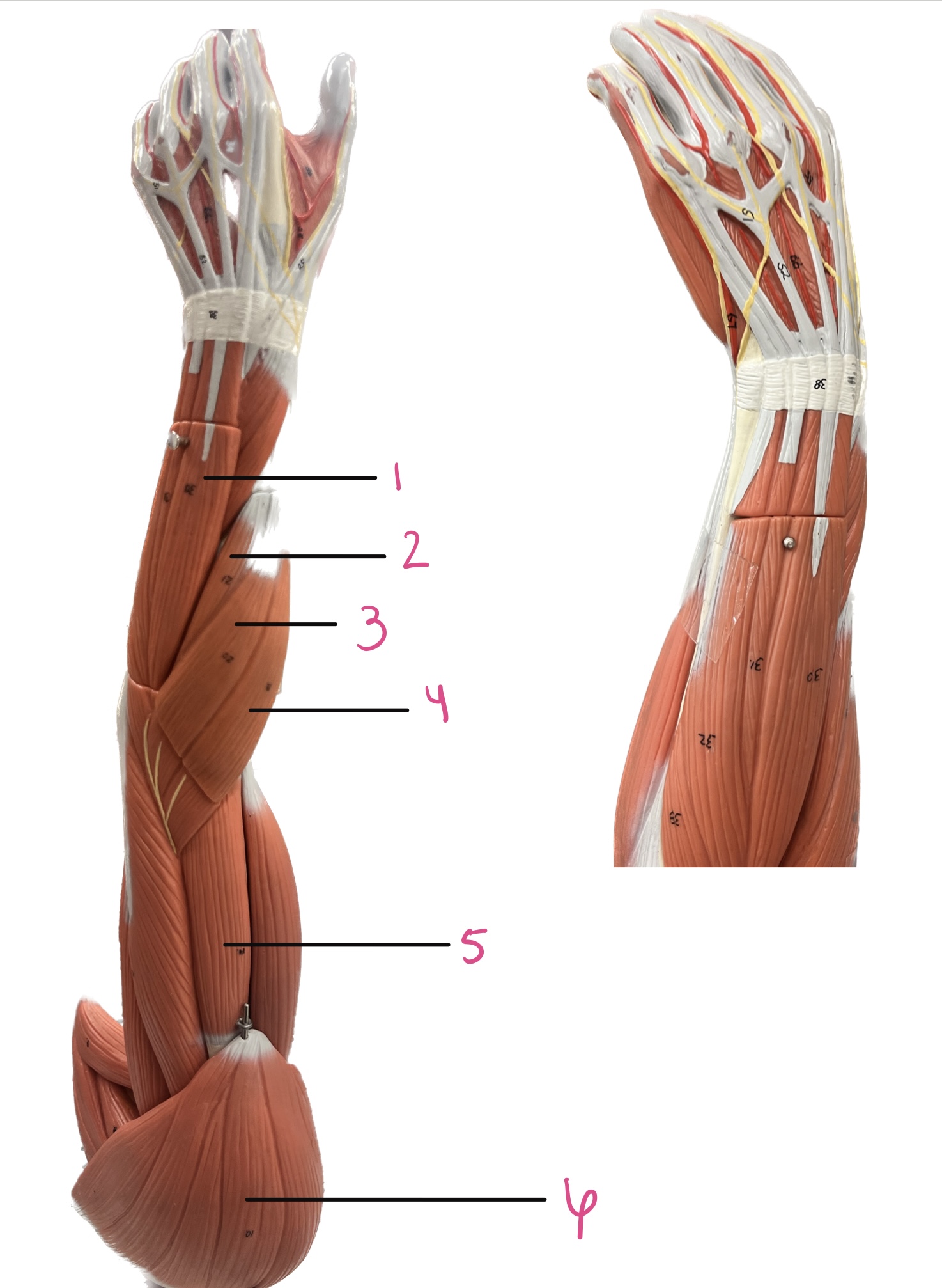 <p>6 </p>