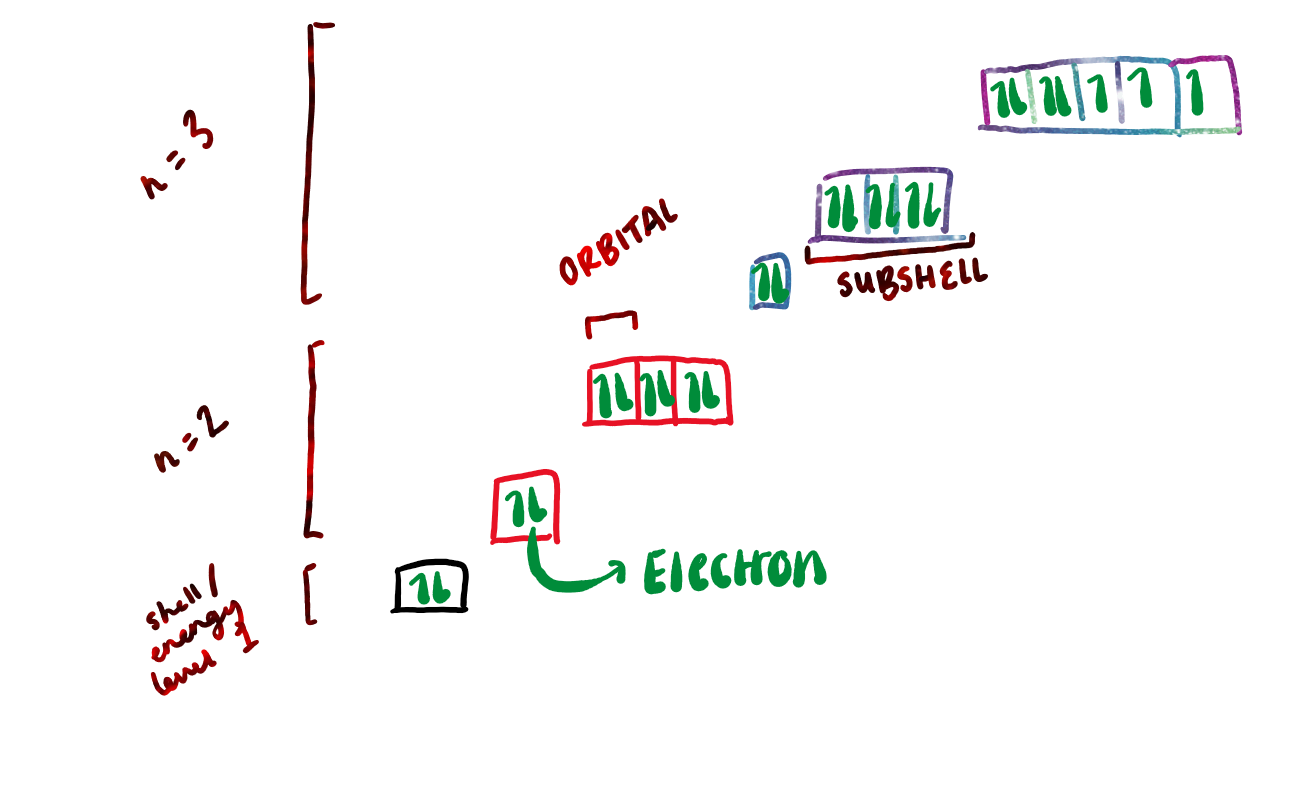 knowt flashcard image