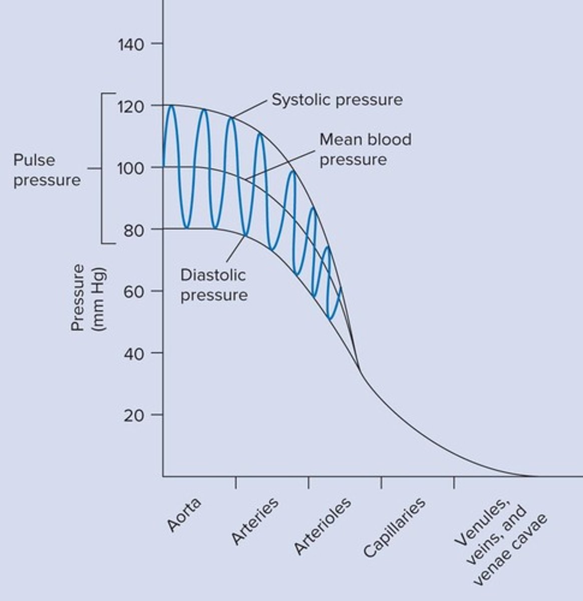 <p>A law that describes the flow of fluid through a cylindrical pipe, relating flow rate to pressure and resistance.</p>