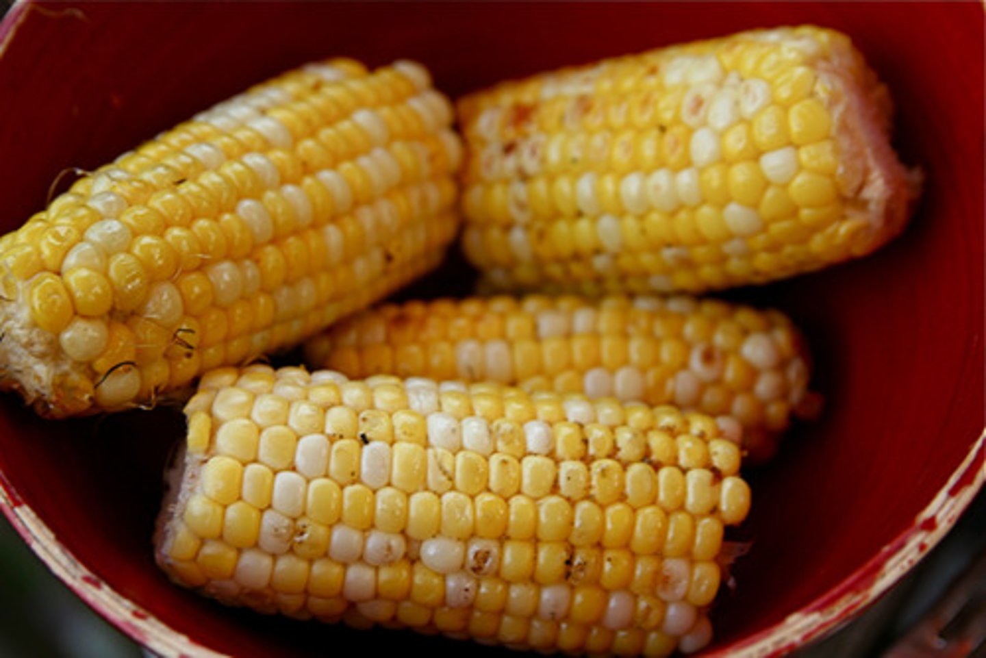 <p>corn</p>