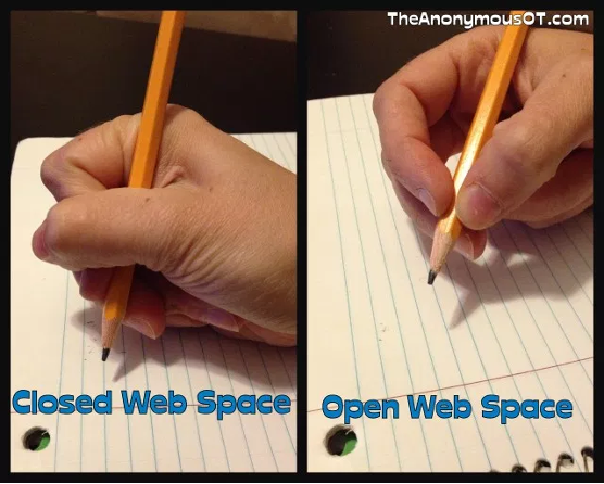 <p>Point to your web space</p><p>This looks like the a-OK sign</p><p>An open web space allows for thumb and finger opposition</p><p>A stable open web space allows for optimal manipulation of objects</p><p>Hold your pencil as you normally do</p><ul><li><p>Is it resting in you’re a-OK space?</p></li><li><p>If it is, you might be writing with a “closed” or “semi-closed” web space</p></li></ul><p></p>