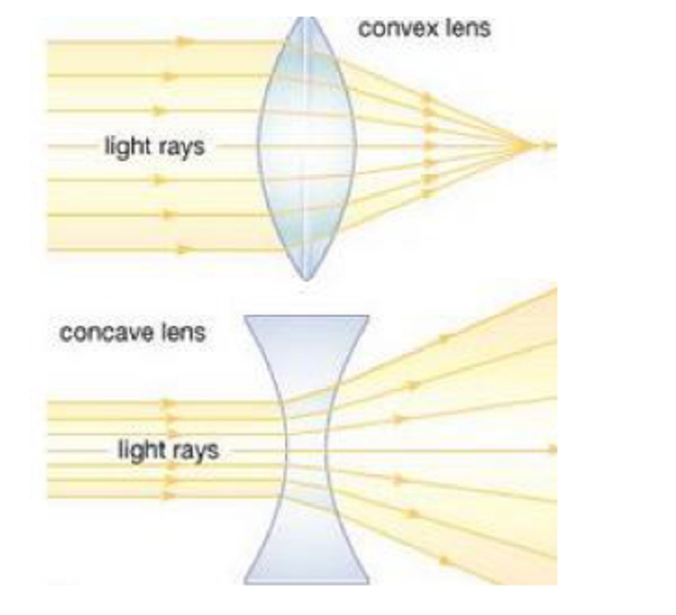 <p>Parallel light rays spread out and separate but appear to come from a principle focus on the other side of the lens</p>