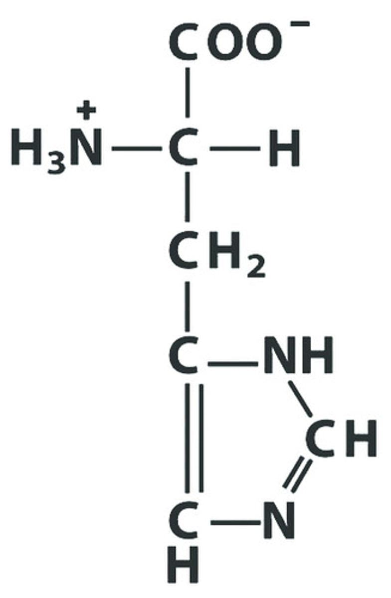 <p>Give the symbol, abbreviation, Name of this amino acid, identify pka : 6.00</p>