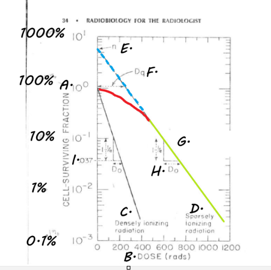 <p>Where the curve would be if there was no shoulder.; THEREFORE it measures the<strong> EXTENT of the shoulder (repair)</strong></p><p><strong>FYI:</strong></p><p>It is an indirect way to measure the width of the shoulder, which tells us how much repair is going on</p>