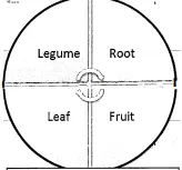<p>4 Course Crop Rotation (4-year process)</p>