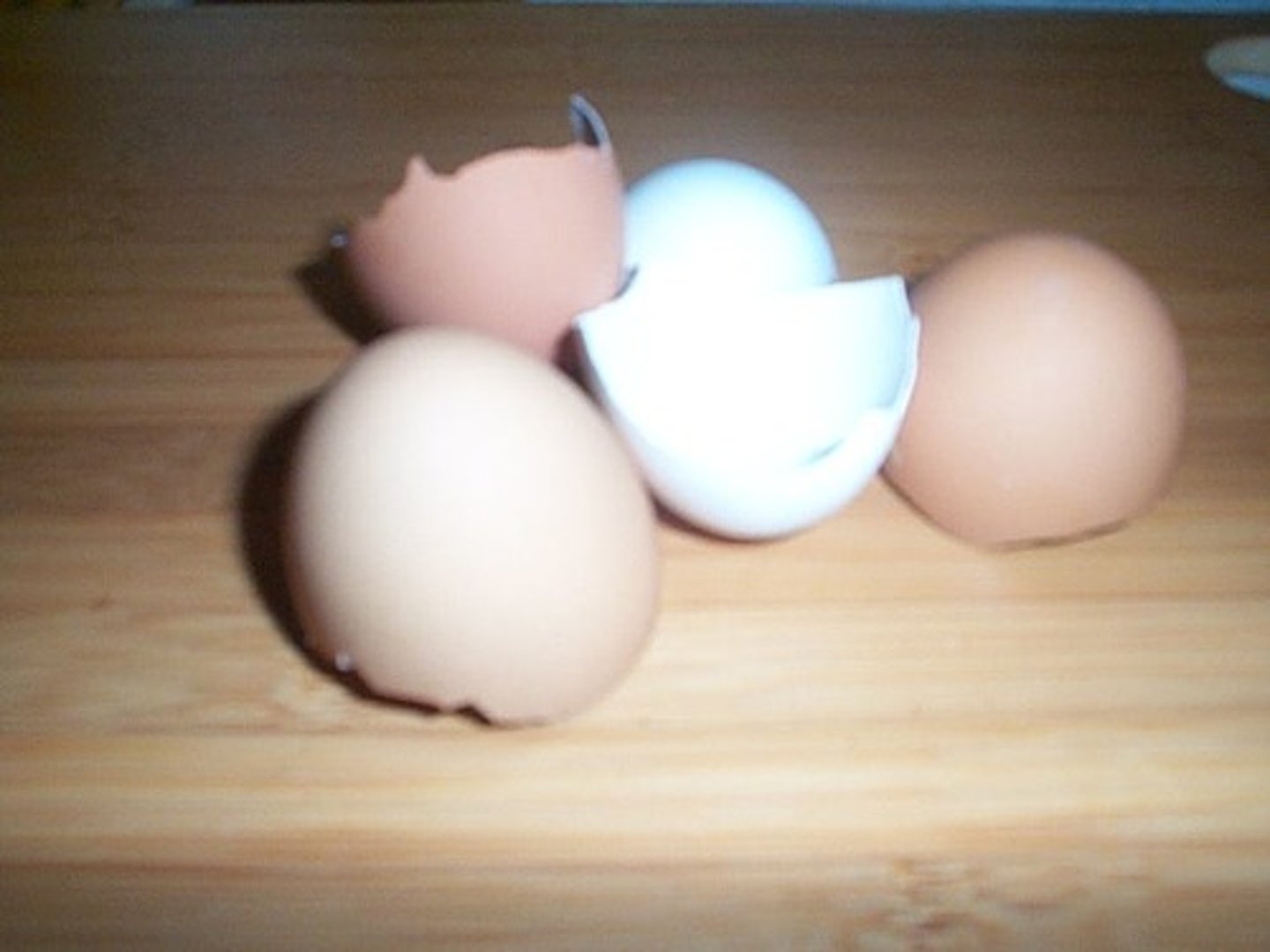 <p>мушля, оболонка (the hard outer covering of something, especially nuts, eggs, and some animalsЖ Brazil nuts have very hard shells.)</p>