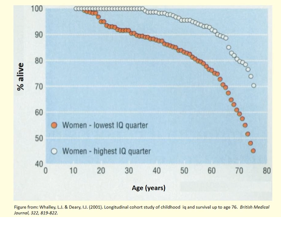 <p>the scottish mental survey → Whalley and Deary (2001) traced 80% of the Aberdeen birth cohorts and compared childhood IQ scores with survivors vs non-survivors (76 years) with SES controlled for</p><ul><li><p>more intelligent survived for longer</p></li></ul><p></p>