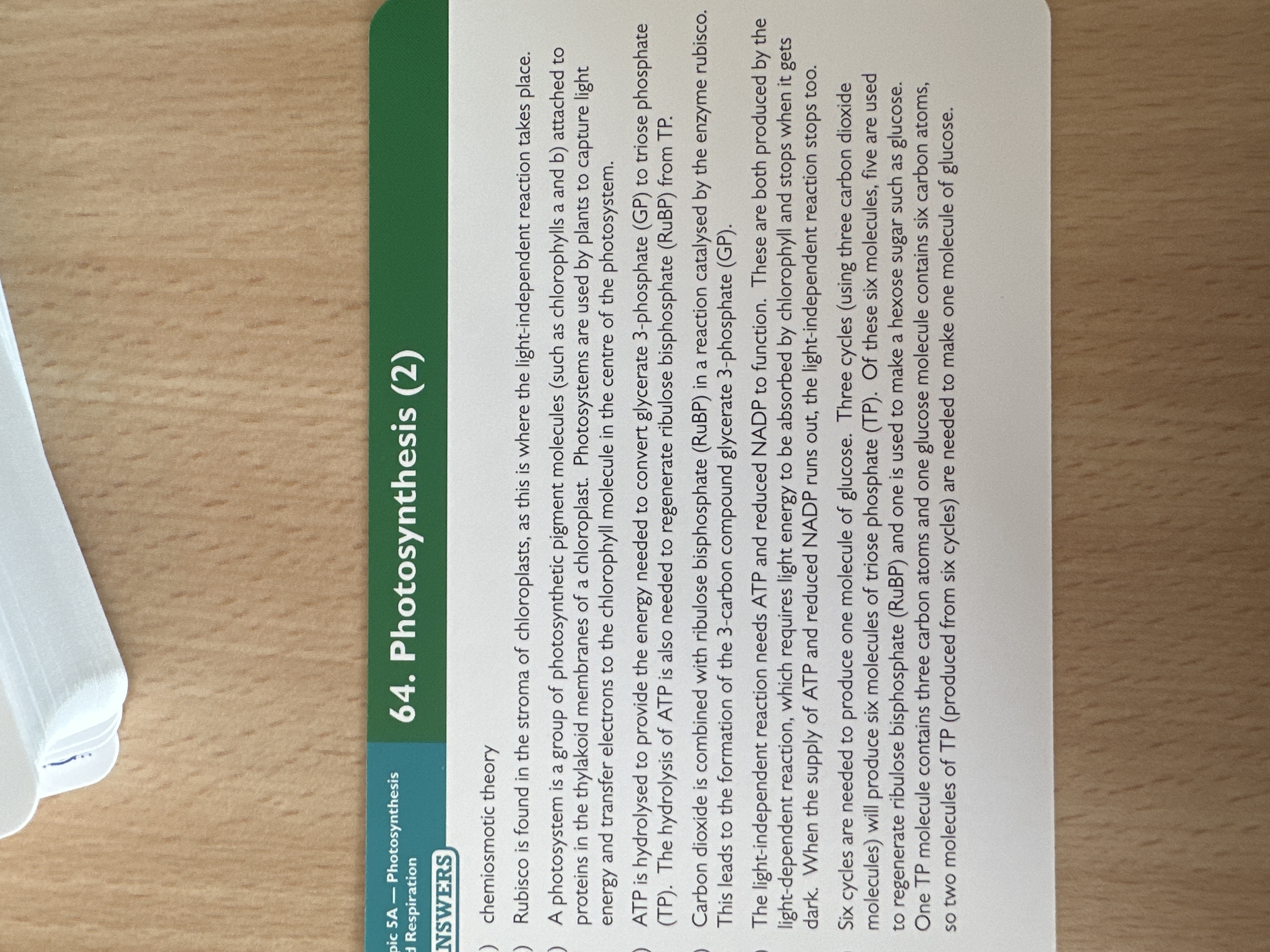 knowt flashcard image