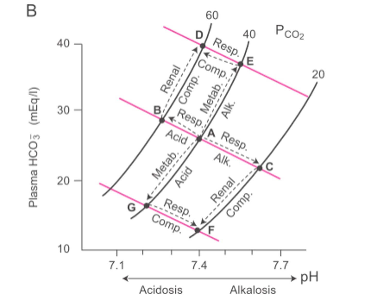 <p>Acid-Base Nomogram --&gt; shaded areas show normal compensatory limits for each condition; clinically useful</p><p>-Only requires measurement of blood pH and PaCO2 for diagnosis</p><p>Davenport Diagram</p><p>-Shows compensatory mechanisms for primary respiratory and metabolic changes in plasma pH</p><p>-Moving to new isopleth = respiratory problem --&gt; shift along isopleth (metabolic compensation) to return to normal pH</p><p>-Shift along isopleth = metabolic problem --&gt; move to a new isopleth (respiratory compensation) to return to normal pH</p>