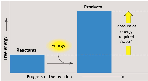 <p>-energy in entering the system </p><p>-nonspontaneous </p><p>-a reaction that absorbs free energy from its surroundings </p><p>-change in G is positive (change in G>0)→ this happens when energy is absorbed into a chemical reaction</p><p>--change in G=G<sub>final state</sub>-G<sub>starting state</sub></p>