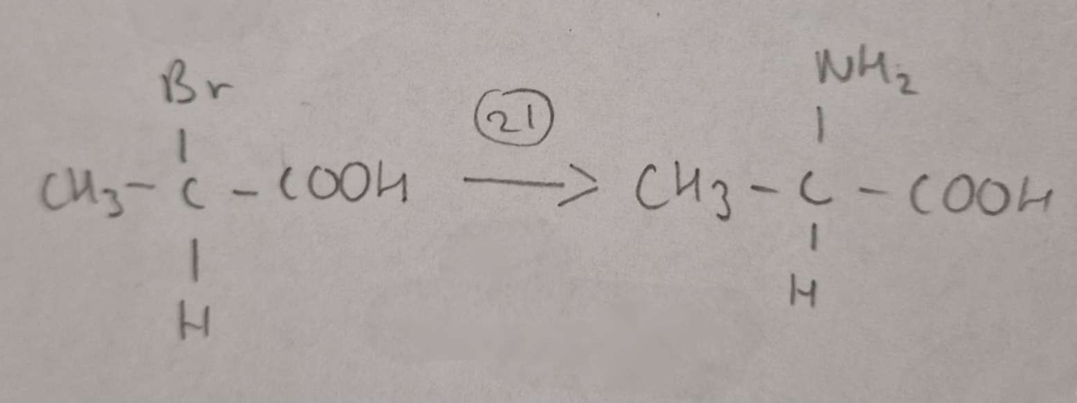 <p>Haloalkanic Acid to Amino Acid Type of Reaction:</p>
