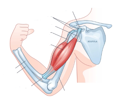 <p>Funktion &amp; Name</p>