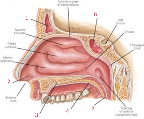 <p>Wat is 1</p>