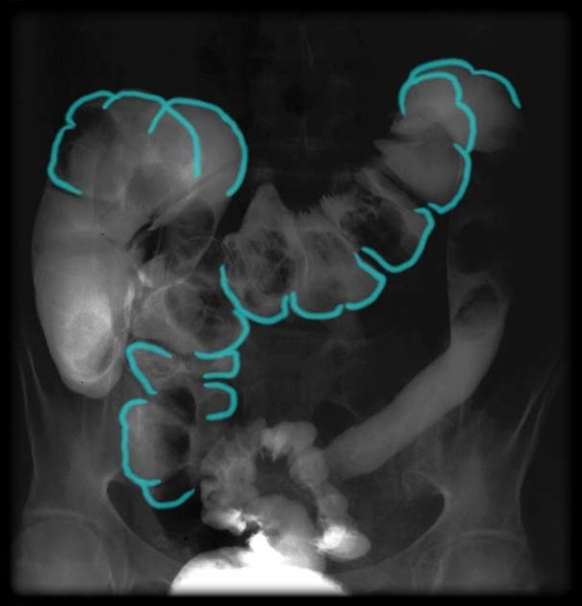 <p>What is this?</p>