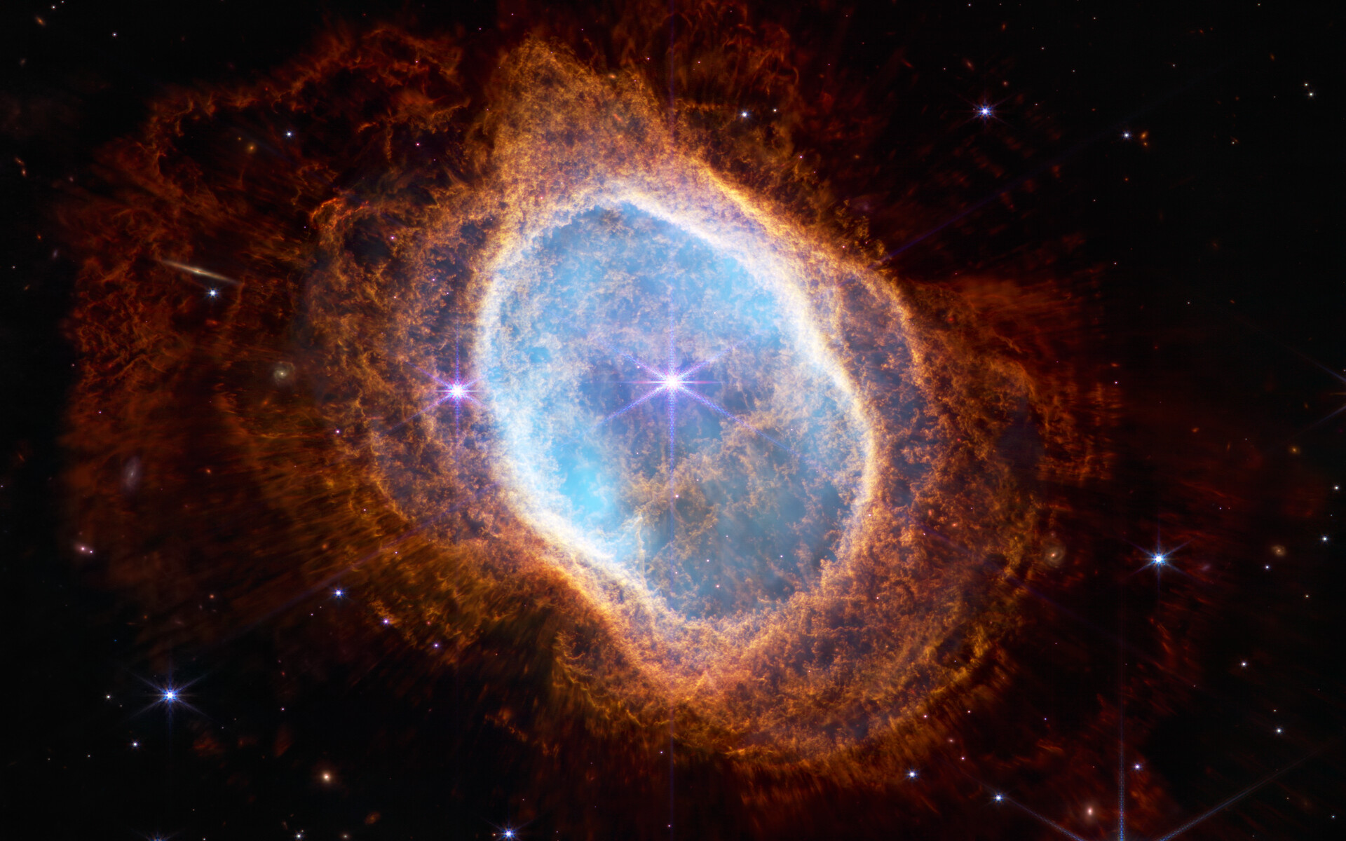 <p>What are both sun-like stars and massive stars formed in?</p>