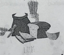 <p>the processed grains (carbs)</p>