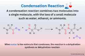 <p>A molecules will remove H+ and the other removes OH-, combining the other elements. (Removing water)</p>