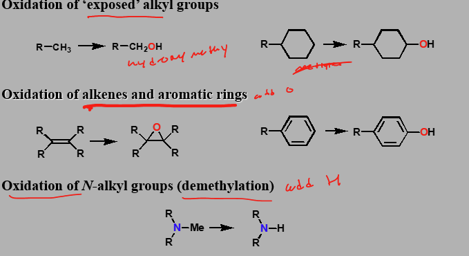 <p>Oxidations (catalysed by cytochrome P450 enzymes) </p>