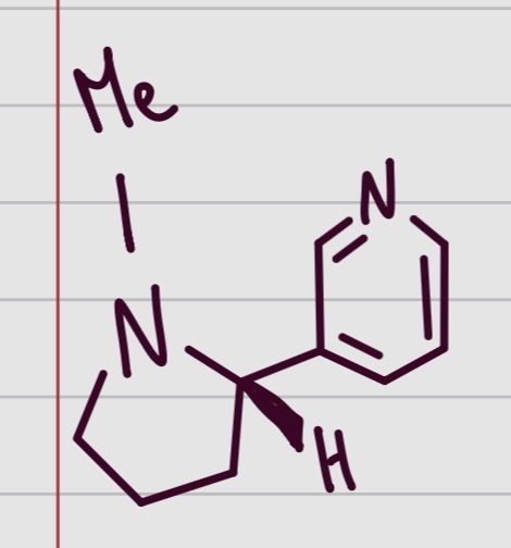 <p>De quelle molécule s’agit ? </p>