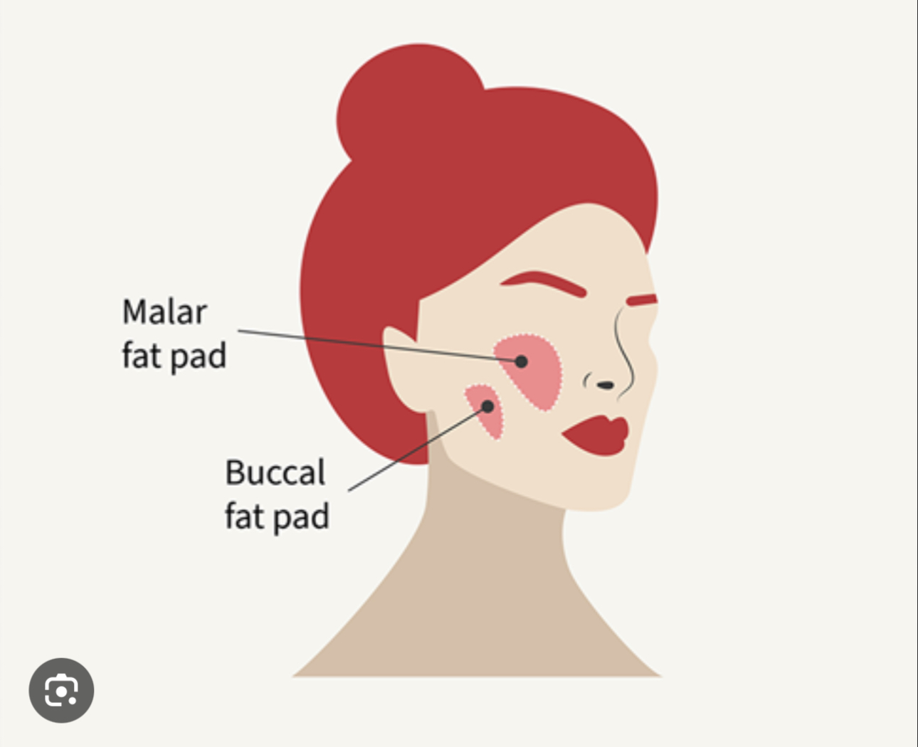 <p>The cheek or inner cheek lining of the mouth</p>