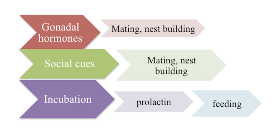 <p>It goes both ways! It creates self-propagating cascade.</p>