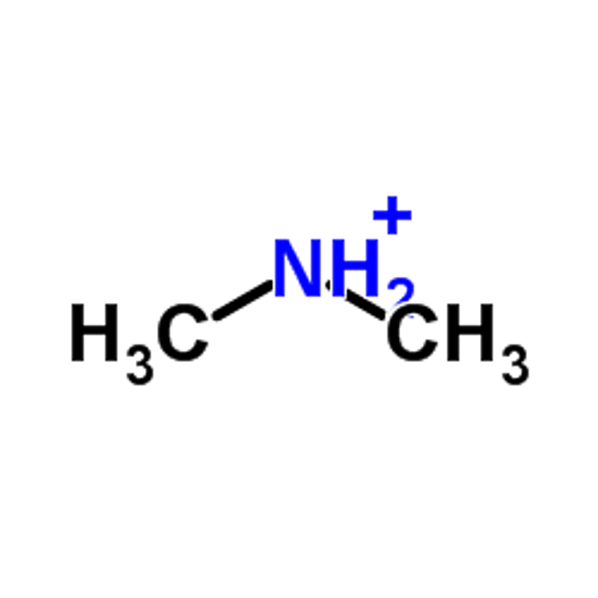 <p>Dimethylammonium ion ((CH<sub>3</sub>)<sub>2</sub>NH<sub>2</sub><sup>+</sup>)</p>