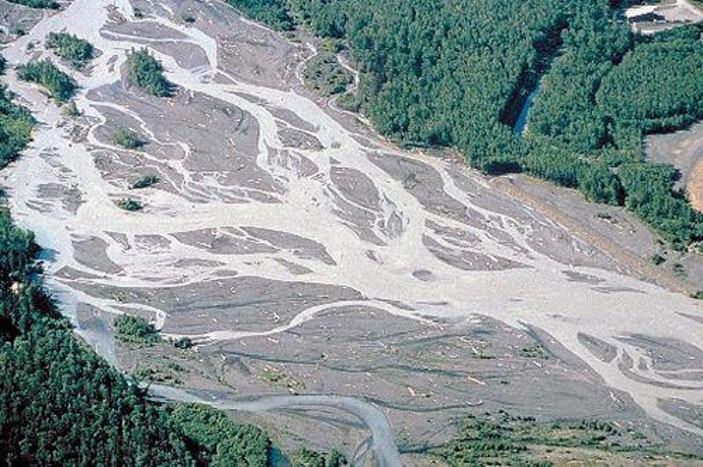 <p>Braided stream</p>