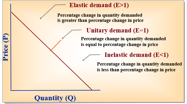* Necessities have lower elasticity 
* Close Substitutes have higher elasticity
* Luxuries have higher elasticity