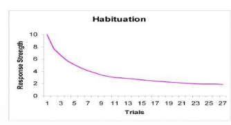 <p>Habituation </p>