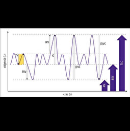 <p>Co to za pojemność płuc ssaka?</p>