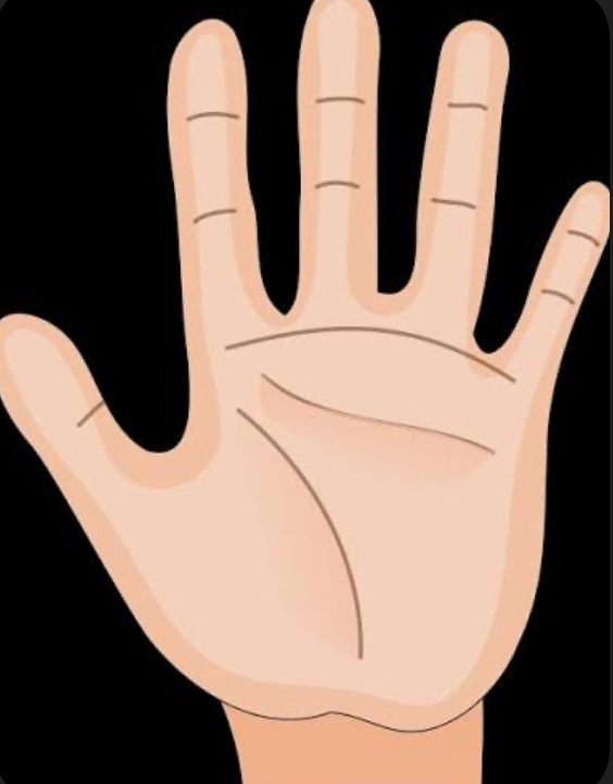 <p>hand flexor group</p>